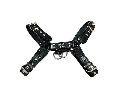 Rouge Black Leather Harness Restraints