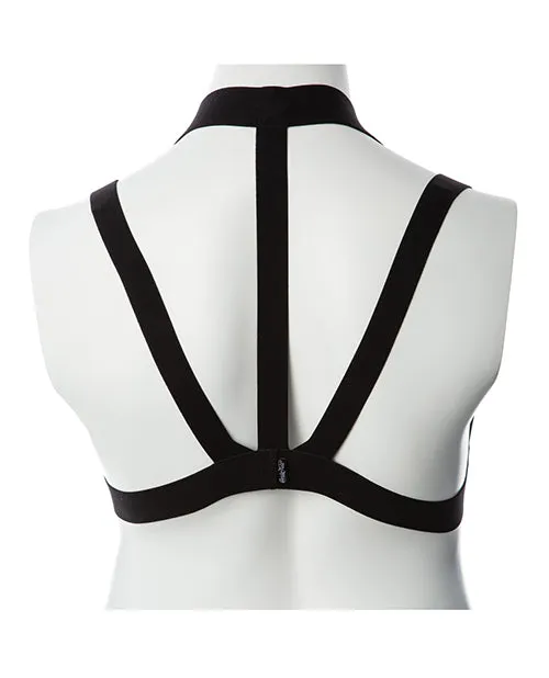 Anal Thank Me Now INC Gender Fluid Majesty Harness Black XLXXXL