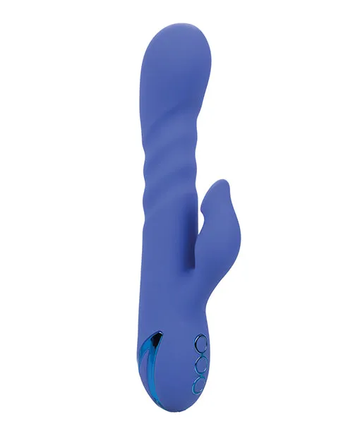 California Dreaming LA Love California Exotic Novelties Vibrators