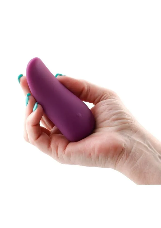 Female Sex Toys Desire Desire Kama Rechargeable Silicone Vibrator