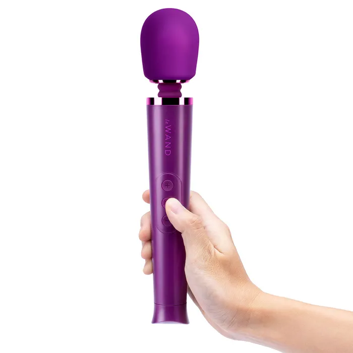 Female Sex Toys Le Wand Le Wand Petite Massager Dark Cherry