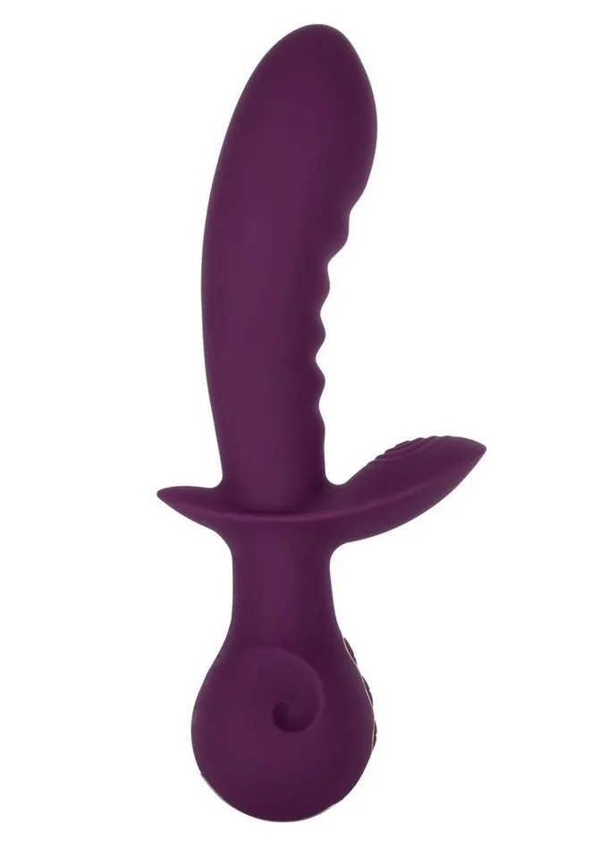 Obsession Obsession Lover Rechargeable Silicone Dual Vibrator Female Sex Toys