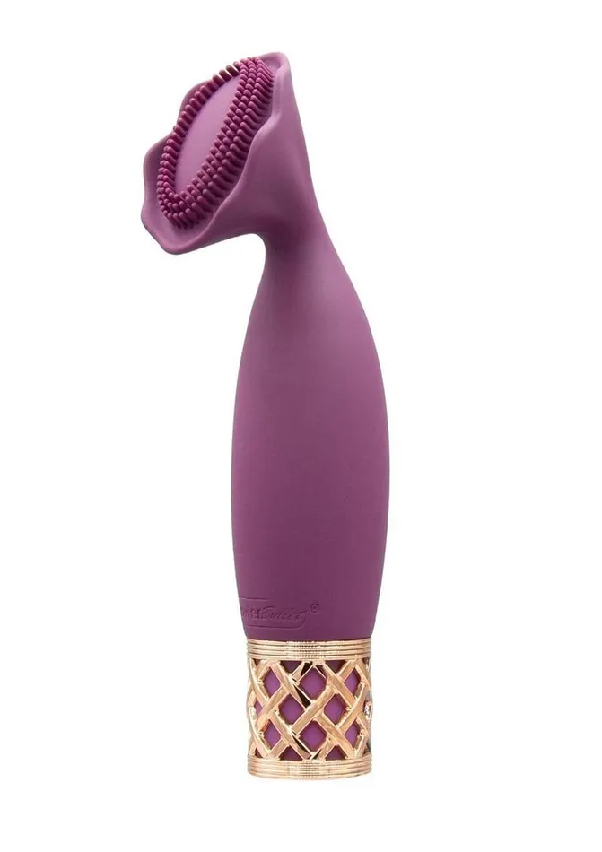 Pillow Talk Passion Rechargeable Silicone Massager Pillowtalk Female Sex Toys