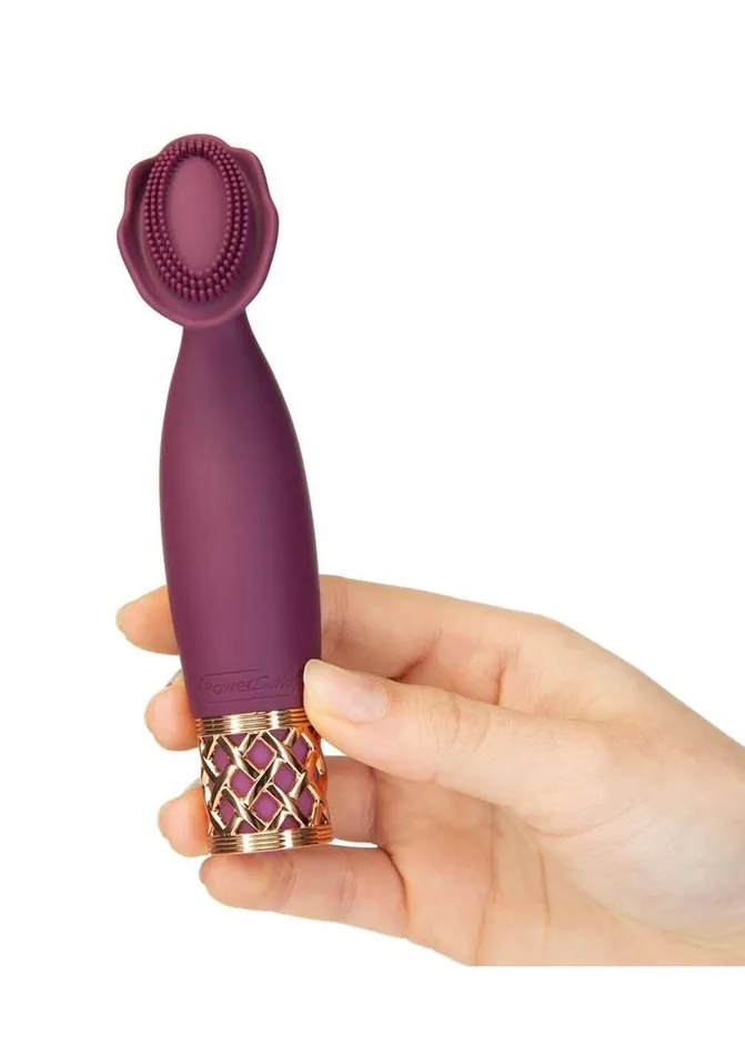 Pillow Talk Passion Rechargeable Silicone Massager Pillowtalk Female Sex Toys