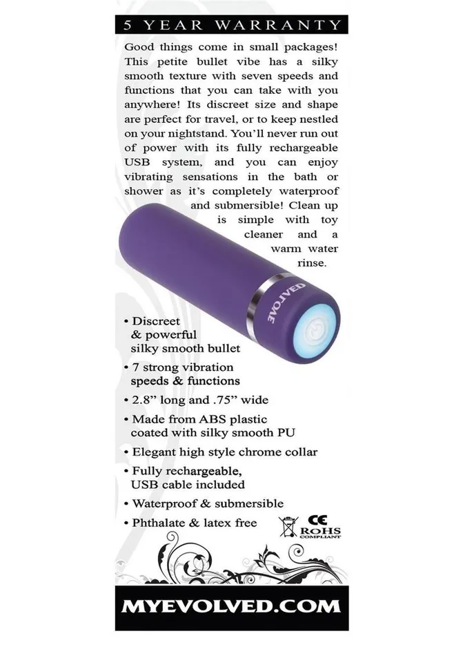 Purple Passion Rechargeable Silky Smooth Bullet Evolved Vibrators