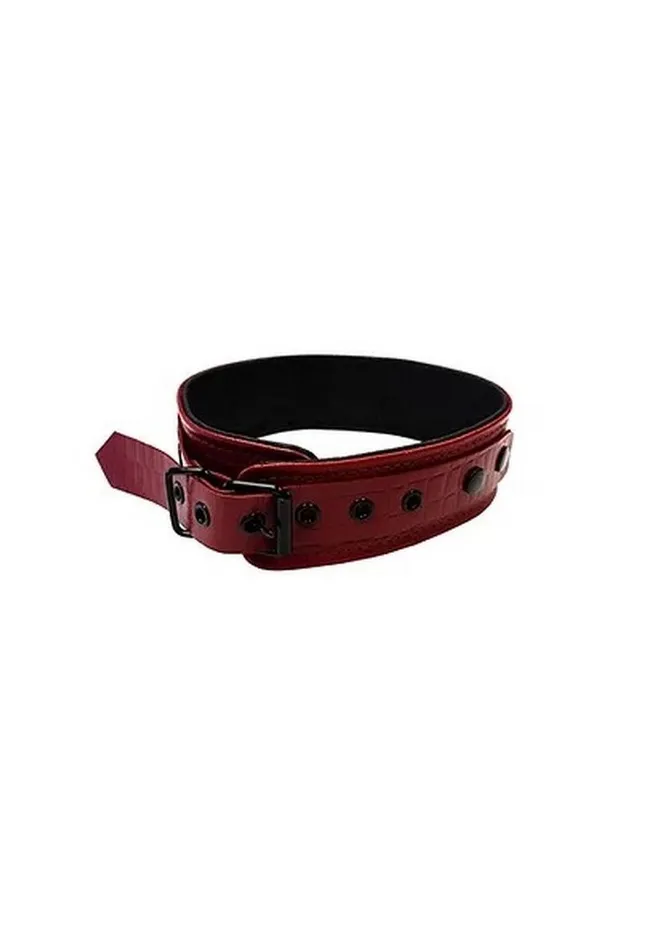 Rouge Male Sex Toys Rouge Anaconda Leather Adjustable Collar 1 Ring