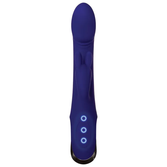 Vibrators Evolved Novelties Bunny Buddy