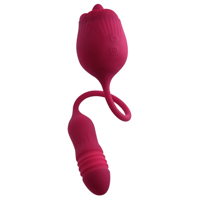 Vibrators Evolved Novelties Wild Rose