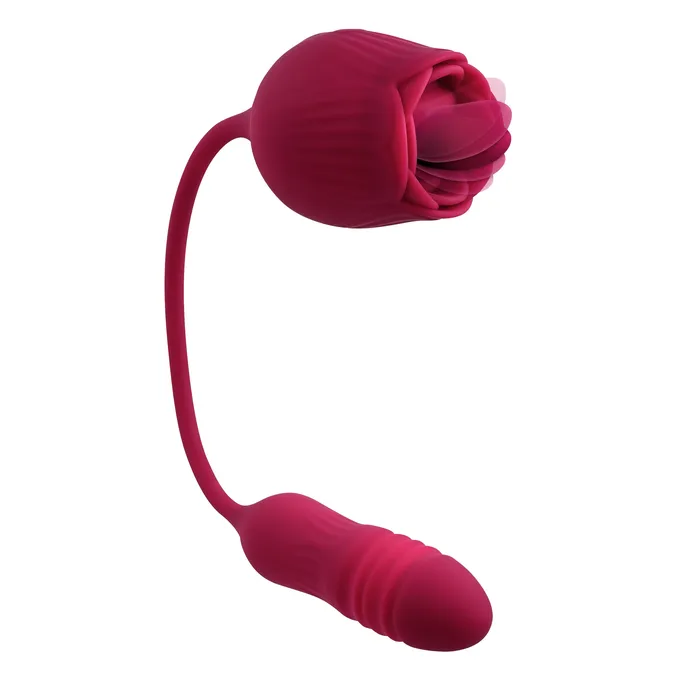 Vibrators Evolved Novelties Wild Rose