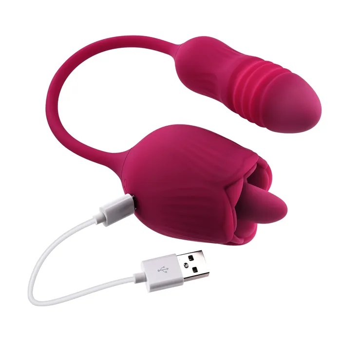 Vibrators Evolved Novelties Wild Rose