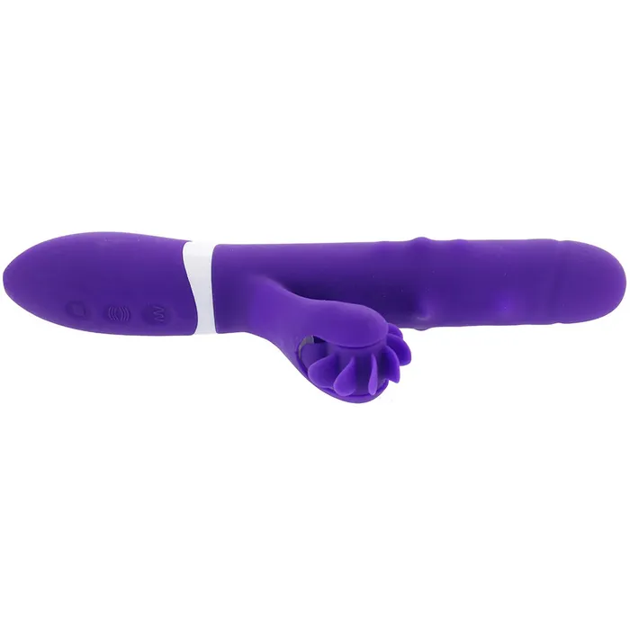 Vibrators Nice and nasty Bz iVibe Select iRoll Rabbit Vibe in Purple